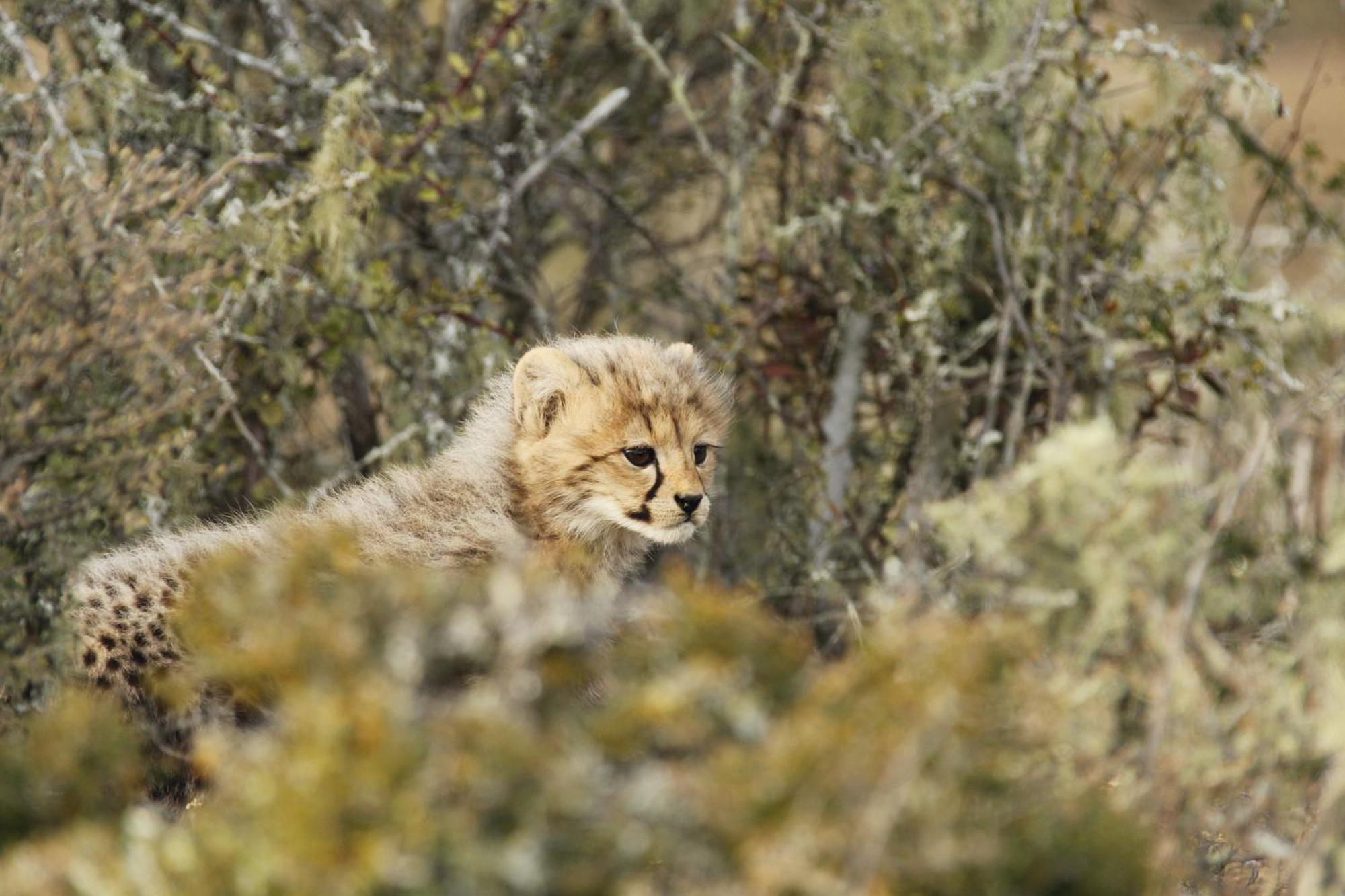 Kwandwe Private Game Reserve - Great Fish River Lodge Grahamstown Dış mekan fotoğraf