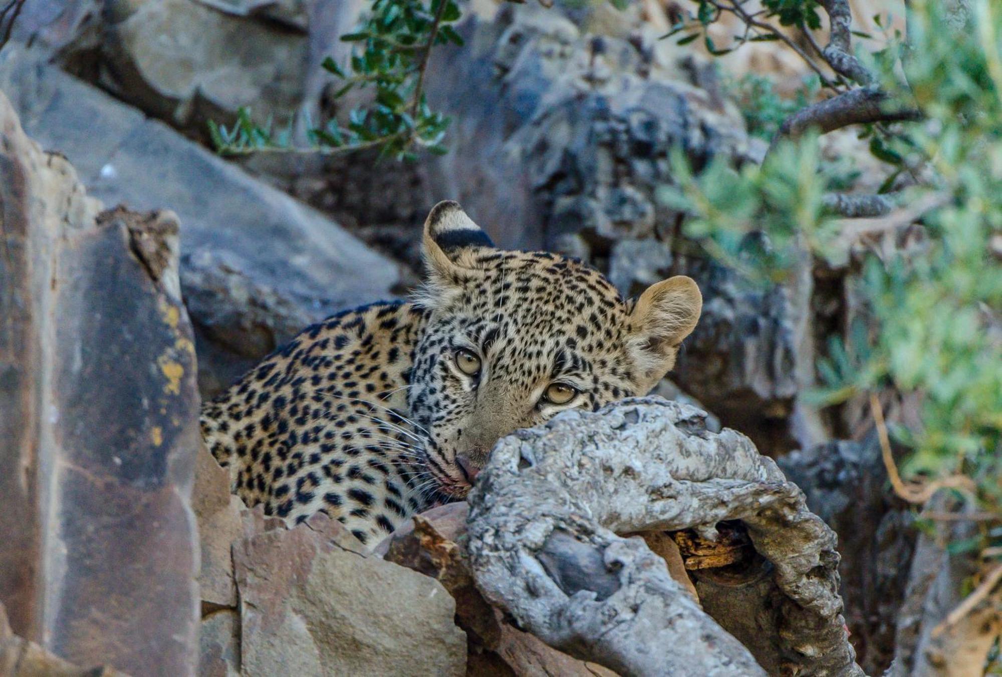 Kwandwe Private Game Reserve - Great Fish River Lodge Grahamstown Dış mekan fotoğraf