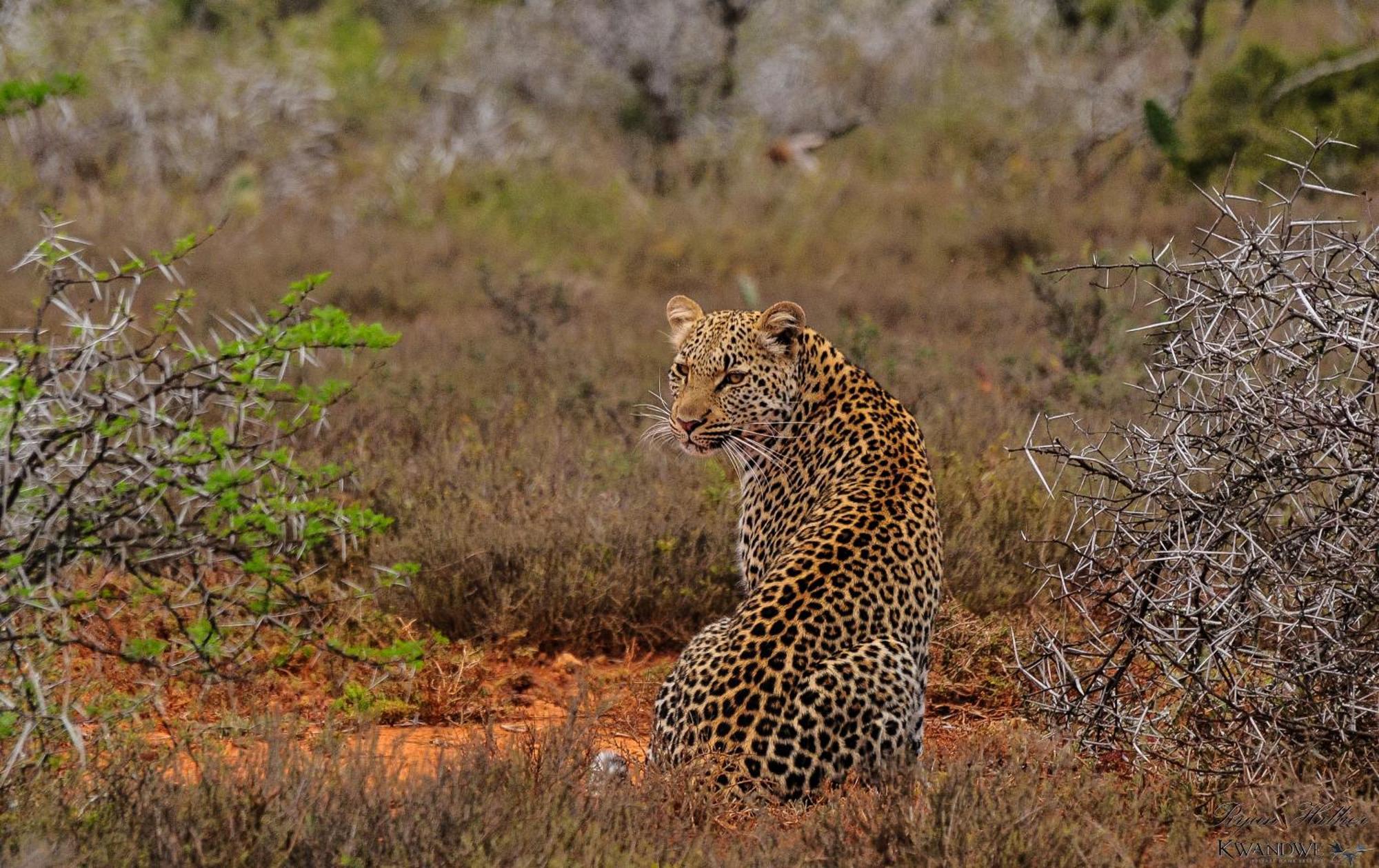 Kwandwe Private Game Reserve - Great Fish River Lodge Grahamstown Dış mekan fotoğraf