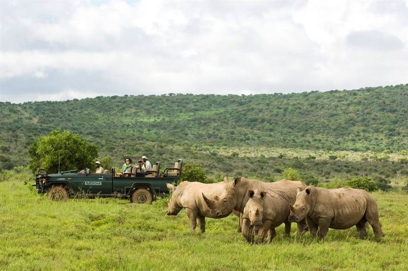 Kwandwe Private Game Reserve - Great Fish River Lodge Grahamstown Dış mekan fotoğraf
