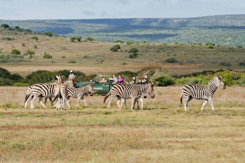 Kwandwe Private Game Reserve - Great Fish River Lodge Grahamstown Dış mekan fotoğraf