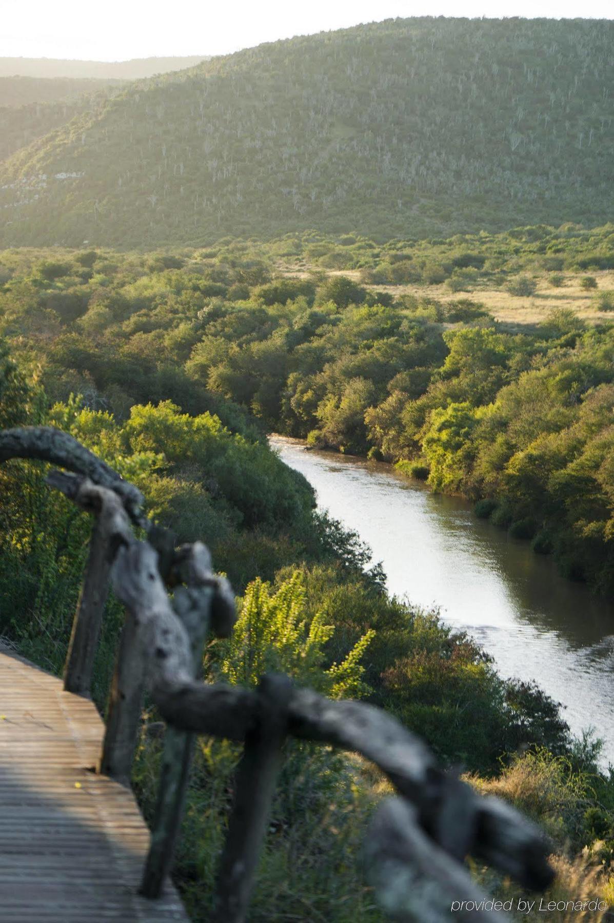 Kwandwe Private Game Reserve - Great Fish River Lodge Grahamstown Dış mekan fotoğraf