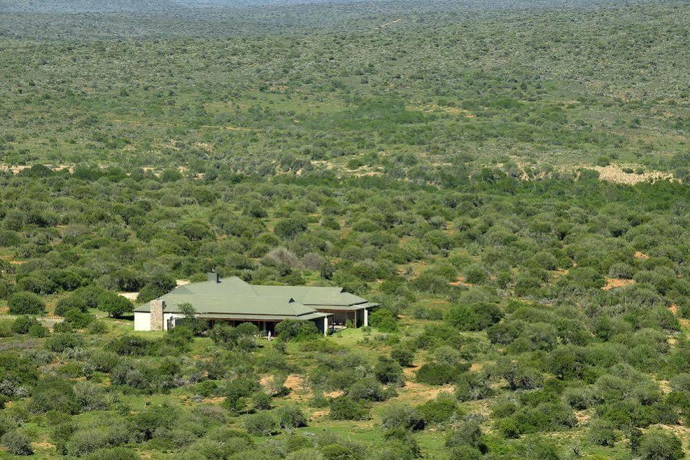Kwandwe Private Game Reserve - Great Fish River Lodge Grahamstown Dış mekan fotoğraf
