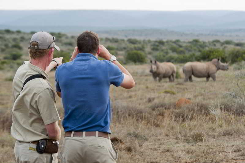 Kwandwe Private Game Reserve - Great Fish River Lodge Grahamstown Dış mekan fotoğraf