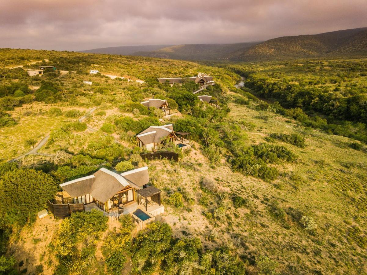 Kwandwe Private Game Reserve - Great Fish River Lodge Grahamstown Dış mekan fotoğraf